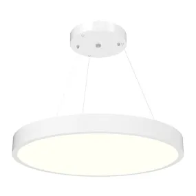 24-Inch Round Suspended Down Light LED Architectural - Power & CCT Adjustable