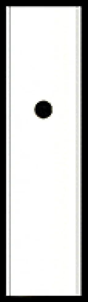 AM190P