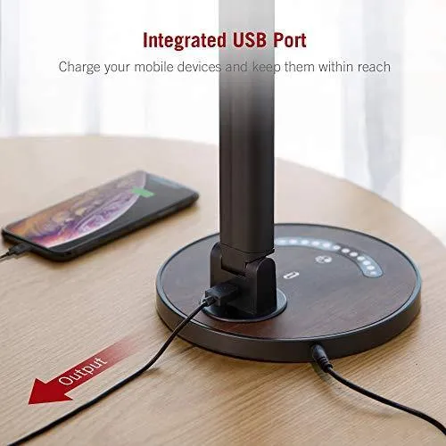 LED Desk Lamp
