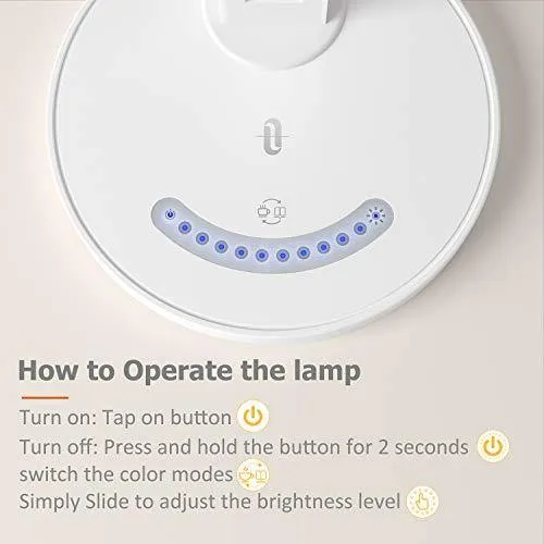 LED Desk Lamp