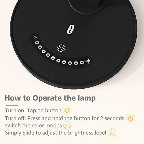 LED Desk Lamp