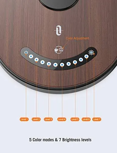 LED Desk Lamp