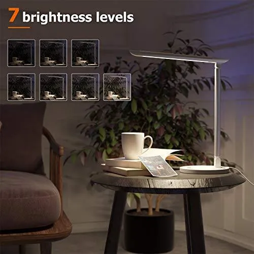 LED Desk Lamp