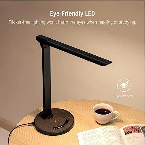 LED Desk Lamp