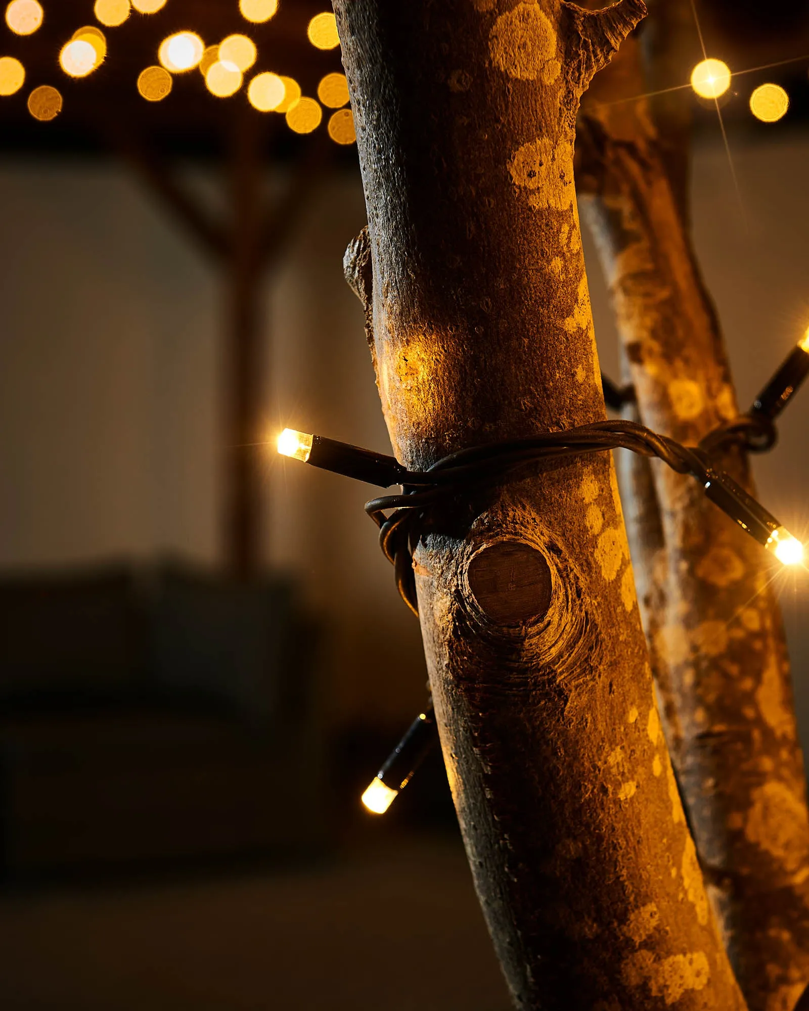 LINK PRO Twinkle LED String Lights, Black Cable, Warm White