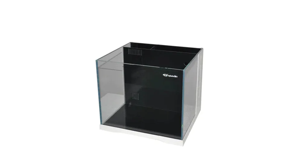 Neptunian Cube
